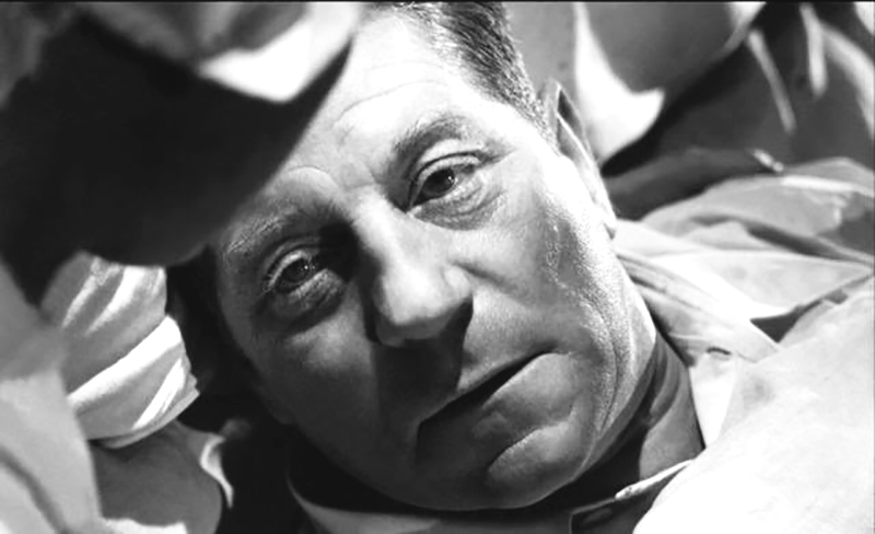 verite_sur_bebe_donge_9