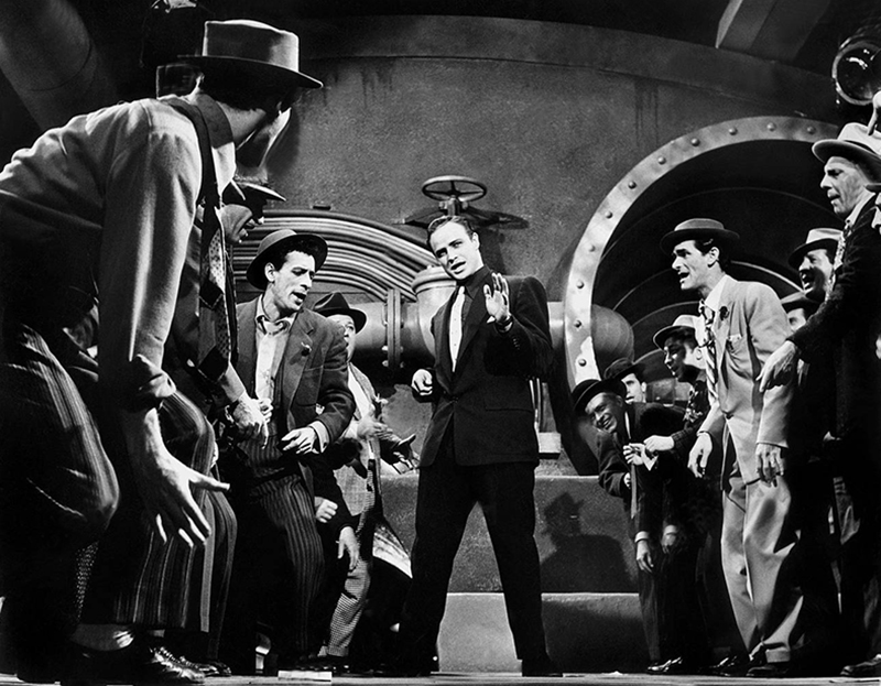 blanches_colombes_vilains_messieurs_11