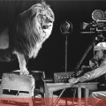 metro_goldwyn_mayer_lyon_couv_01