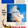 shark_300