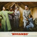 mogambo_351